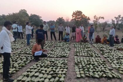 साय-सरकार-के-सुशासन-में-तेन्दूपत्ता-संग्राहकों-को-मिली-आर्थिक-मजबूती,-10,160-हितग्राहियों-के-खातों-में-पहुँची-1.39-करोड़-रुपये-से-अधिक-की-बोनस-राशि