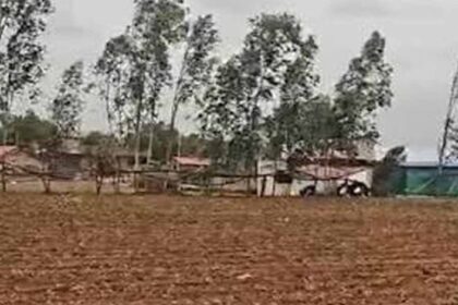 cg-में-बारिश-थमते-ही-खेती-पर-असर,-बोवनी-और-रोपाई-का-काम-हुआ-प्रभावित